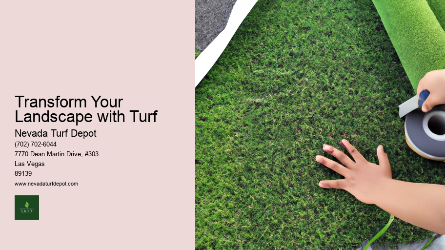 Transform Your Landscape with Turf