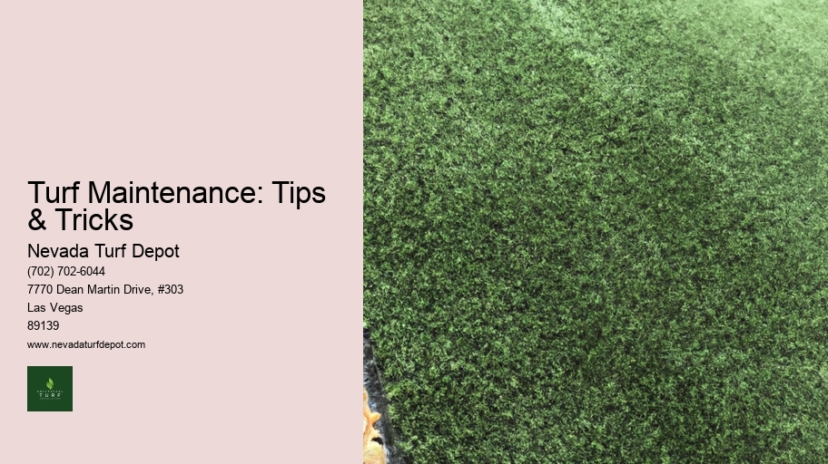 Turf Maintenance: Tips & Tricks
