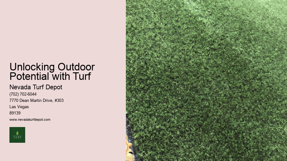 Unlocking Outdoor Potential with Turf